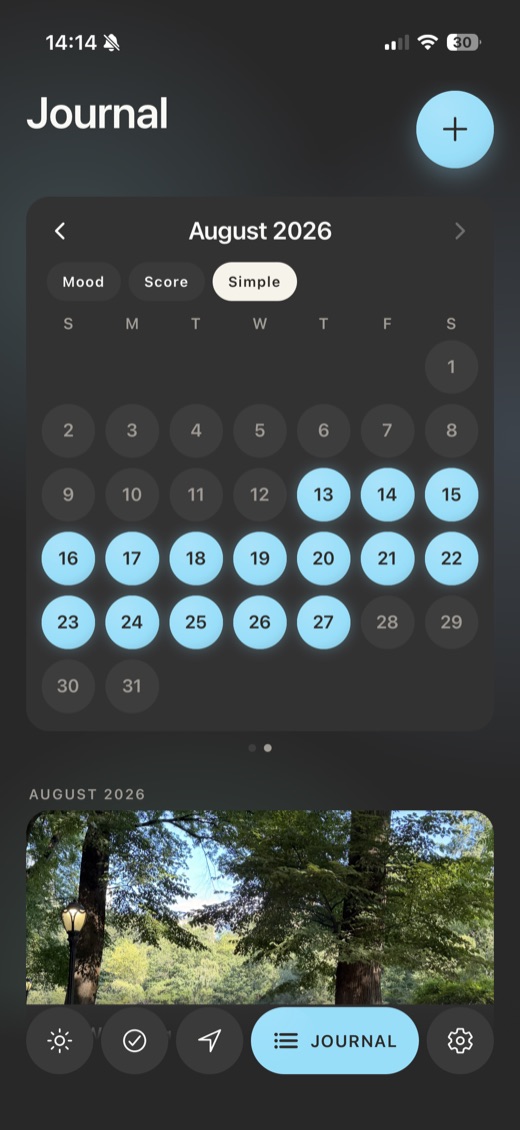 anpassen — the Journal calendar view
