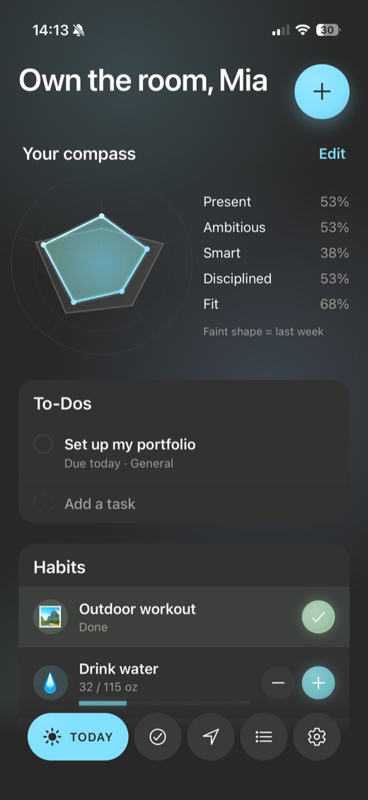 anpassen — the Today screen with the identity compass